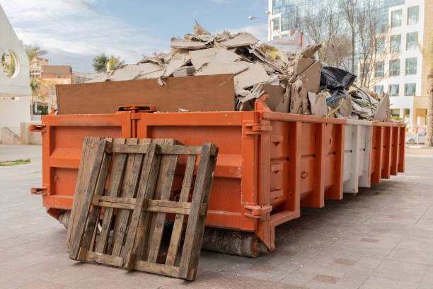 Yard Cleanup Services in Landis, NC